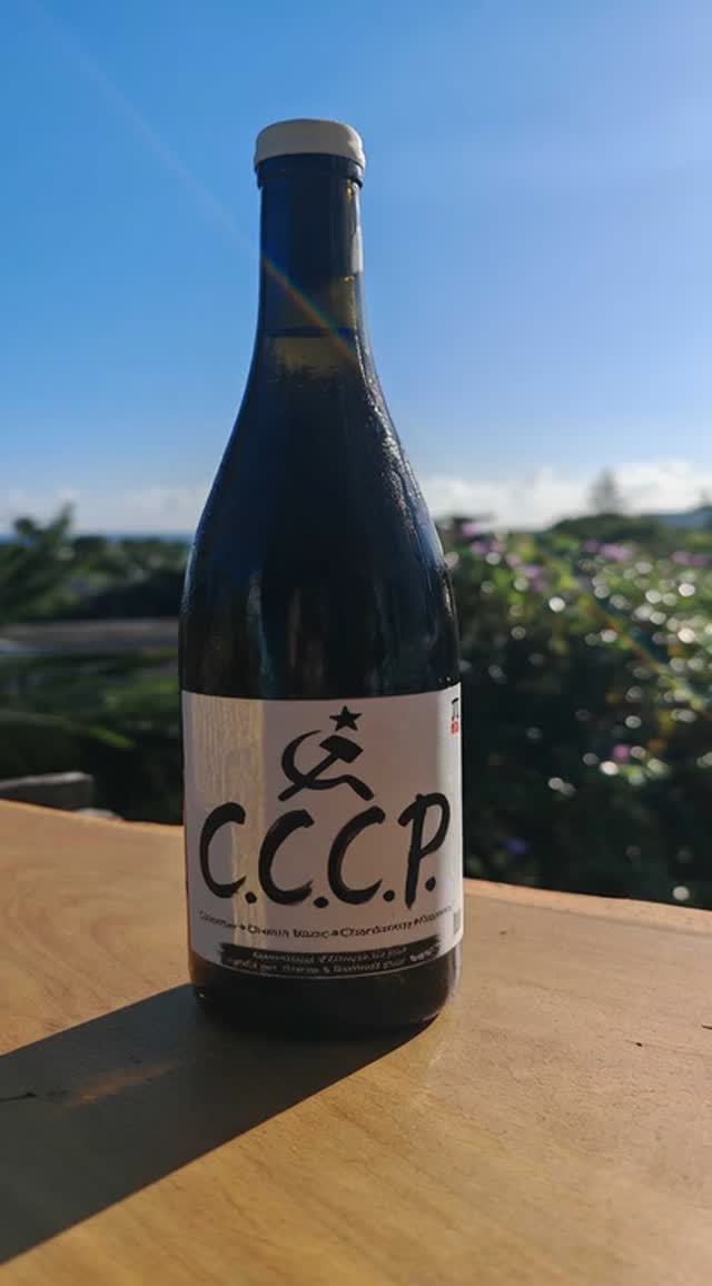 🍇✨ Découvrez PI-KOL : un jus de fruit pour adultes ! 🍷 Dir