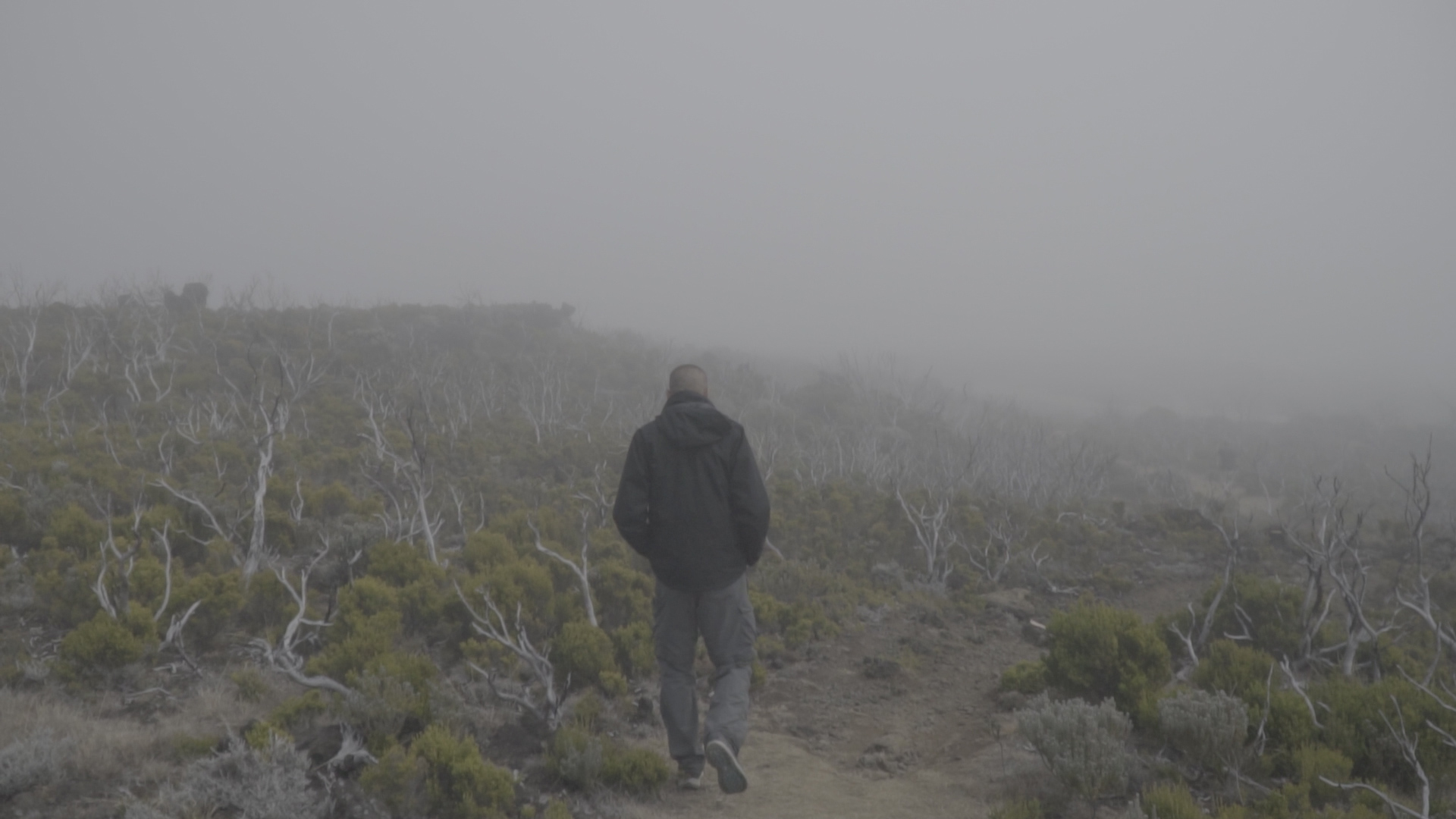 captureEcran200820_Brume02