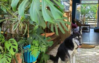 Régie éco-responsable produits locaux matériaux durables éco-production audiovisuelle Réunion