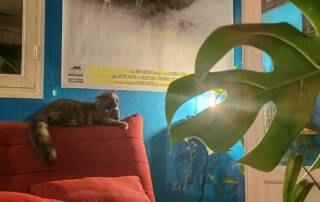 Autonomie énergétique production audiovisuelle indépendance réseau électrique éco-production