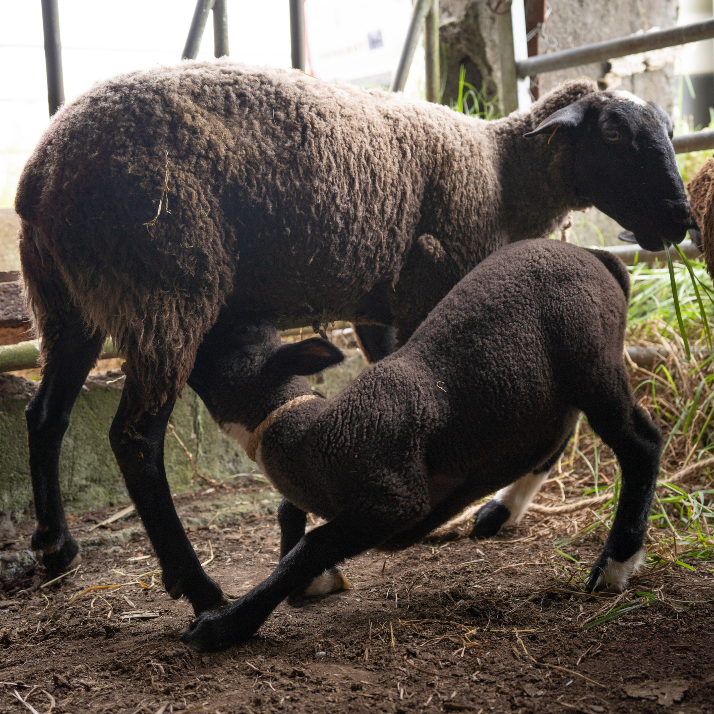 Michel tournage Wopé 4