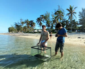 Tournage clip Holothurie Terlanoudiboudin - Production audiovisuelle réunion Wopé