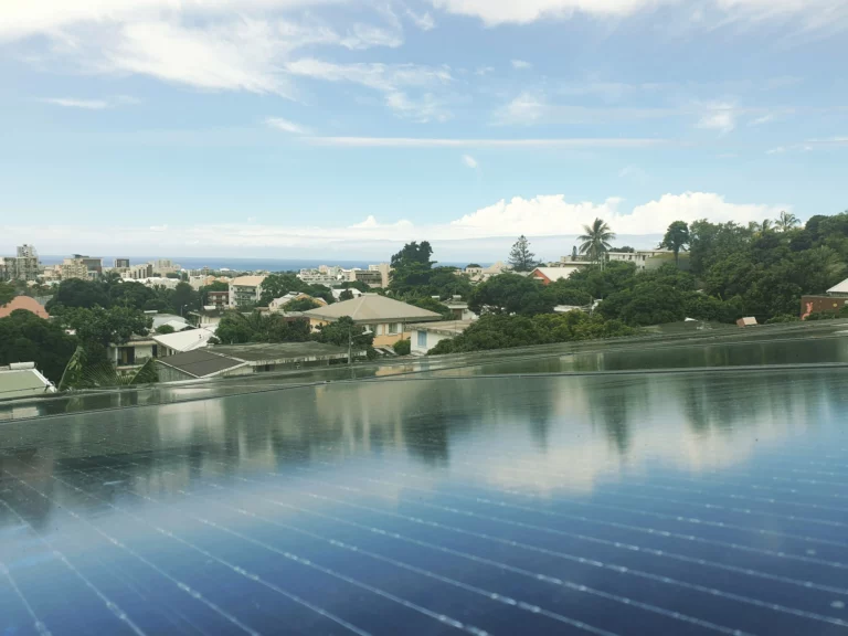 Bureau Wopé production écologique La Réunion - plantes et espace de travail vert