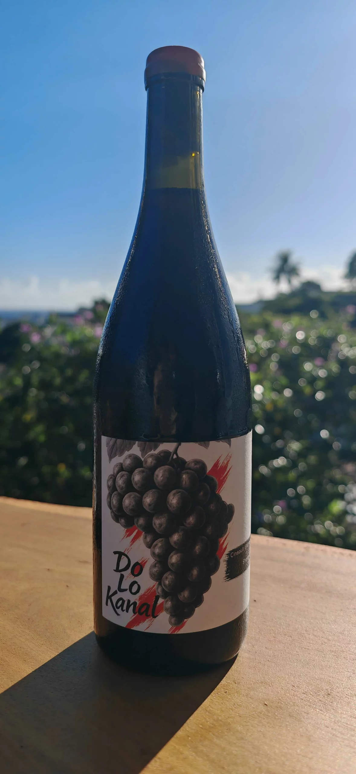 Dolokanal Cinsault — vin naturel léger Swartland